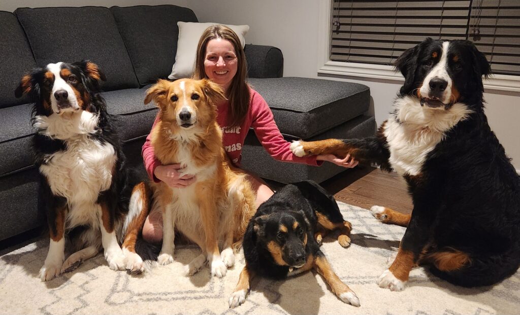 A woman with long brown hair sits on the floor next to a grey couch with four large dogs. One of the dogs is holding her hand.