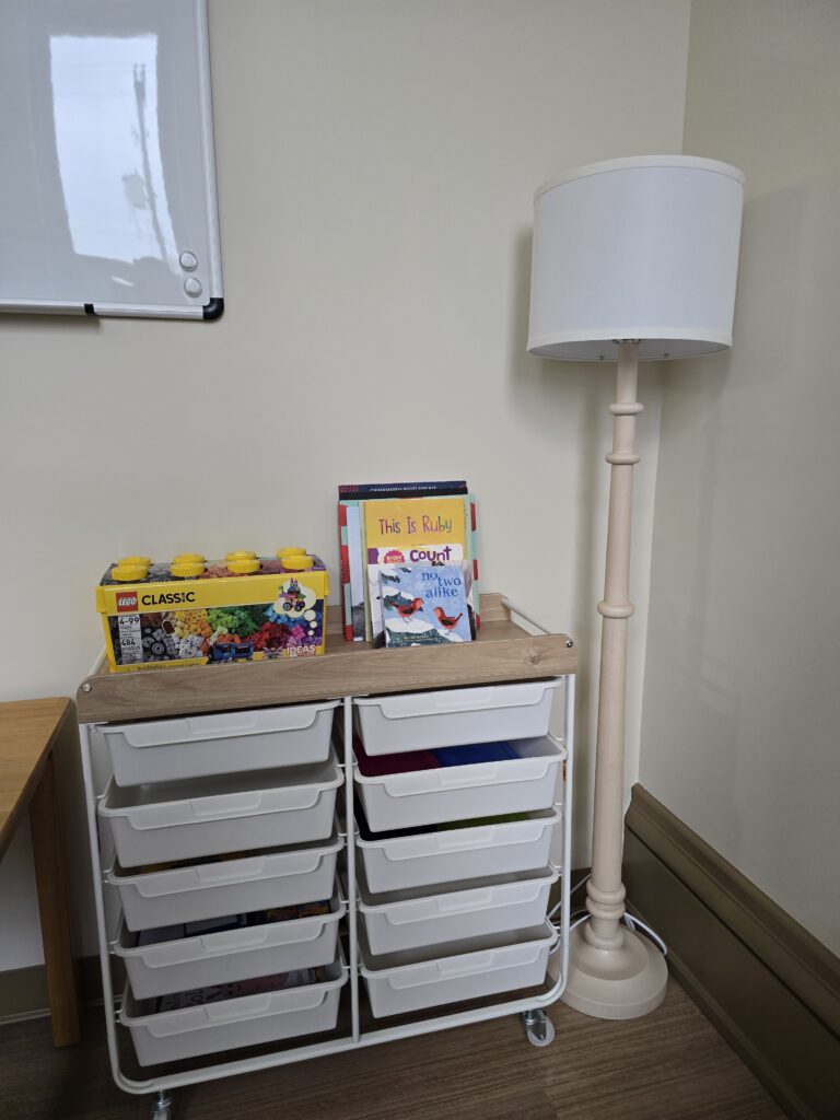 A corner of a room with a shelving unit with books and toys for kids.